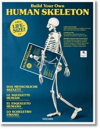 Produktbild: Build Your Own Human Skeleton