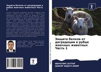 Produktbild: Zaschita belkow ot degradacii w rubce zhwachnyh zhiwotnyh Chast' 1