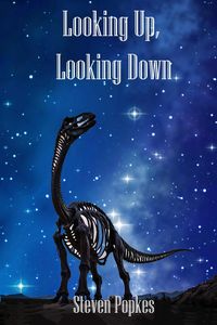Produktbild: Looking Up, Looking Down
