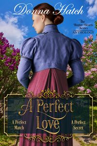 Produktbild: A Perfect Love (Rogue Hearts, #2)