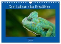 Produktbild: Das Leben der Reptilien (Wandkalender 2026 DIN A4 quer), CALVENDO Monatskalender