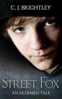 Produktbild: Street Fox (Erdemen Tales, #1)