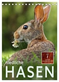 Produktbild: Niedliche Hasen (Tischkalender 2026 DIN A5 hoch), CALVENDO Monatskalender