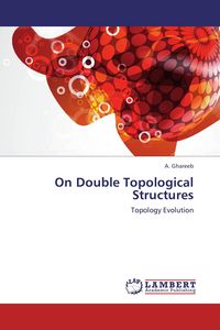 Produktbild: On Double Topological Structures