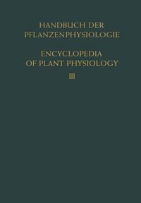 Produktbild: Pflanze und Wasser / Water Relations of Plants