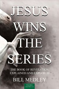 Produktbild: Jesus Wins The Series Vol. 2