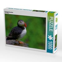 Produktbild: CALVENDO Puzzle Papageientaucher | 1000 Teile Lege-Gr&ouml;&szlig;e 64x48cm Foto-Puzzle f&uuml;r gl&uuml;ckliche Stunden