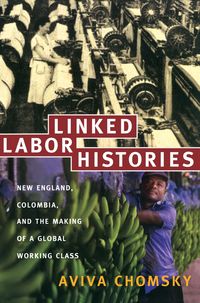 Produktbild: Linked Labor Histories