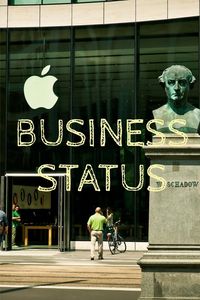 Produktbild: Business Status