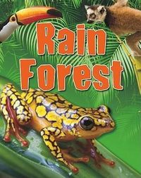 Produktbild: Rain Forest