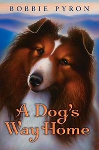 Produktbild: A Dog's Way Home