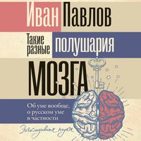 Produktbild: Takie raznye polushariya mozga. Ob ume voobsche, o russkom ume v chastnosti