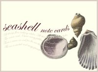 Produktbild: Seashell Small Note Cards