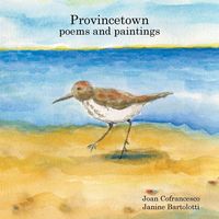Produktbild: Provincetown poems and paintings