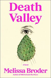 Bild vom Artikel Death Valley vom Autor Melissa Broder