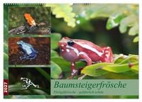 Produktbild: Baumsteigerfr&ouml;sche. Pfeilgiftfr&ouml;sche - gef&auml;hrlich sch&ouml;n (Wandkalender 2027 DIN A2 quer), CALVENDO Monatskalender