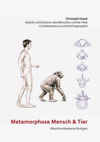 Produktbild: Metamorphose Mensch und Tier