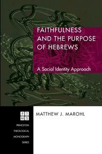 Produktbild: Faithfulness and the Purpose of Hebrews