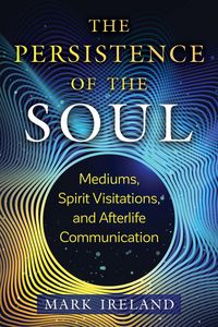 Produktbild: The Persistence of the Soul