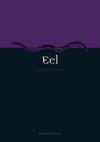 Produktbild: Eel