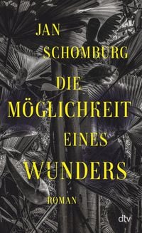 Produktbild: Die M&ouml;glichkeit eines Wunders