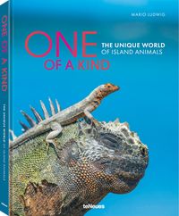 Produktbild: One of a Kind