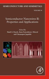 Produktbild: Semiconductor Nanowires II