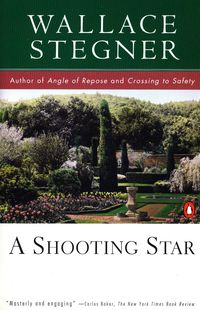 Produktbild: A Shooting Star