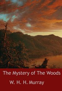 Produktbild: The Mystery of The Woods