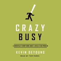 Produktbild: Crazy Busy