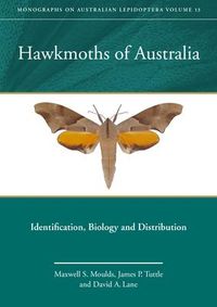 Produktbild: Hawkmoths of Australia