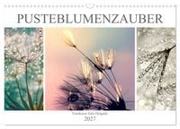 Produktbild: PusteblumenZauber (Wandkalender 2027 DIN A3 quer), CALVENDO Monatskalender