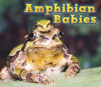 Produktbild: Amphibian Babies