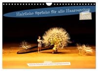 Produktbild: Hairliche Spr&uuml;che f&uuml;r alle Haareszeiten (Wandkalender 2026 DIN A4 quer), CALVENDO Monatskalender