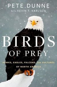 Produktbild: Birds of Prey