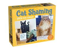 Produktbild: Andrade, P: Cat Shaming 2024 Day-To-Day Calendar