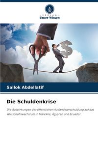 Produktbild: Die Schuldenkrise