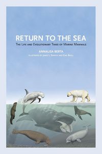 Produktbild: Return to the Sea