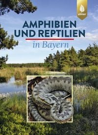 Produktbild: Amphibien und Reptilien in Bayern