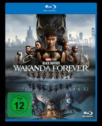 Bild vom Artikel Black Panther - Wakanda forever vom Autor Martin Freeman