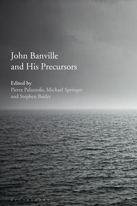 Produktbild: John Banville and His Precursors