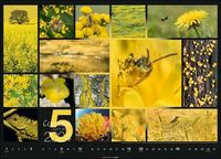Colours of Nature Kalender 2024