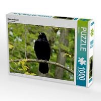 Produktbild: CALVENDO Puzzle Rabe im Baum | 1000 Teile Lege-Gr&ouml;&szlig;e 64x48cm Foto-Puzzle f&uuml;r gl&uuml;ckliche Stunden