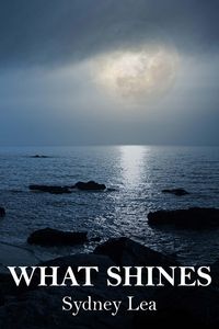Produktbild: What Shines