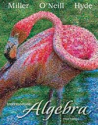 Produktbild: Intermediate Algebra