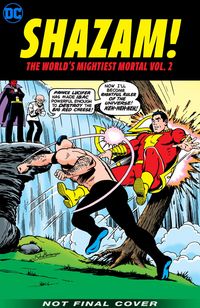 Bild vom Artikel Shazam! the World's Mightiest Mortal Vol. 2 vom Autor Dennis O'Neil