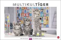 Bild vom Artikel Whiskas Katzenkalender 2024. Foto-Wandkalender mit süßen Katzen und lustigen Geschichten. Wandkalender 2024 in schönem Design. Bildkalender 2024. Q vom Autor 