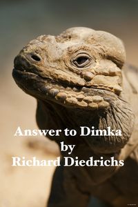 Produktbild: Answer to Dimka