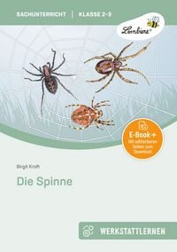 Produktbild: Die Spinne