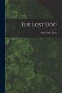 Produktbild: The Lost Dog